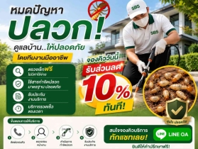 รับกำจัดปลวกและแมลง ในราคาเริ่มเพียง 3,500 บาทรับส่วนลด 10% ทันที