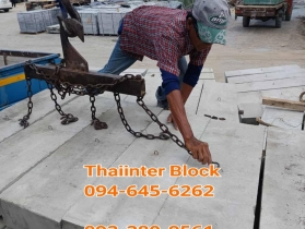 บล็อกปูพื้น บล็อกปูถนน บล็อกตัวหนอน บล็อกแปดเหลี่ยม บล็อกปูหญ้า